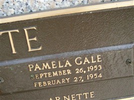 Pamela Gale Arnette Pamela Gale Arnette