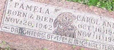 Pamela Halstead Pamela Halstead