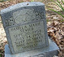 Pamela Marie Sevier Pamela Marie Sevier