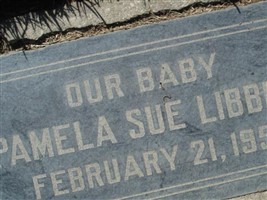 Pamela Sue Libbey Pamela Sue Libbey