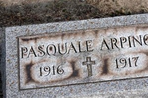 Pasquale Arpino Pasquale Arpino