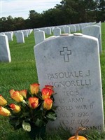 Pasquale J Signorelli Pasquale J Signorelli