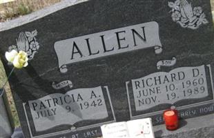 Patricia A Allen