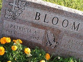 Patricia A Bloom