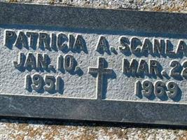 Patricia A Scanlan