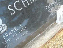 Patricia A. Schmitt Patricia A. Schmitt