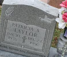 Patricia A Taylor