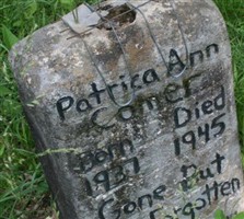 Patricia Ann Comer Patricia Ann Comer