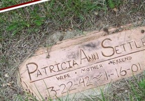 Patricia Ann Fisher Settle
