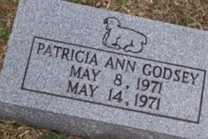 Patricia Ann Godsey