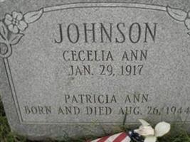 Patricia Ann Johnson