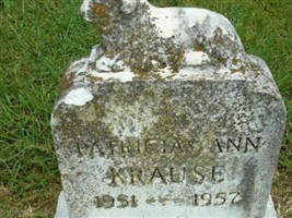 Patricia Ann Krause