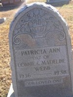 Patricia Ann Webb