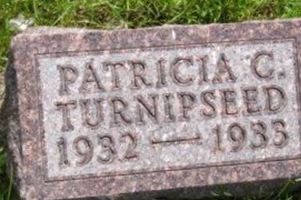 Patricia C Turnipseed