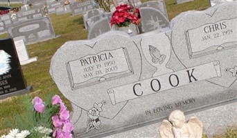 Patricia Cook Patricia Cook
