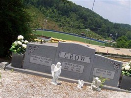 Patricia Gail Crow