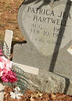 Patricia J Hartwell