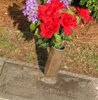 Patricia Y Gowan Cross