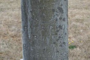 Patrick D Prunty