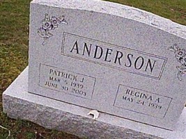Patrick J Anderson