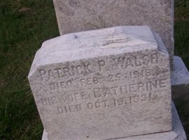 Patrick P Walsh Patrick P Walsh