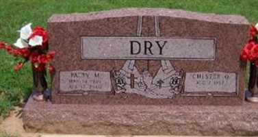 Patty M Dry
