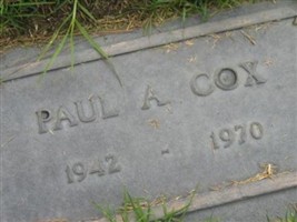 Paul A Cox