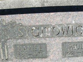Paul A Sygitowicz Paul A Sygitowicz