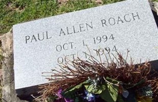Paul Allen Roach Paul Allen Roach