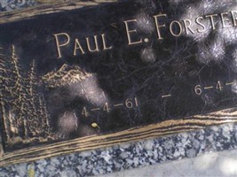 Paul E Forster