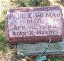 Paul E. Gilman