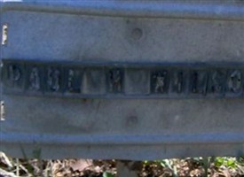 Paul H Wilson Paul H Wilson