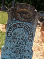 Paul Hatchett Gill