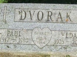 Paul J Dvorak Paul J Dvorak