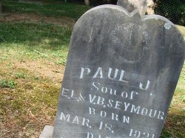 Paul J Seymour