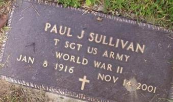 Paul J Sullivan