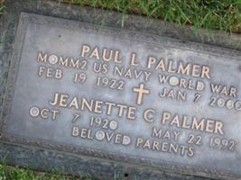 Paul L Palmer