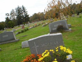 Paul Molnar Paul Molnar