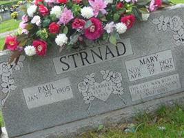 Paul Strnad