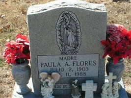 PAULA ALLEN FLORES PAULA ALLEN FLORES