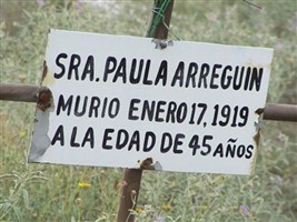 Paula Arreguin Paula Arreguin