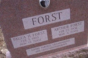 Paula H Forst