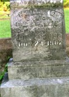 Paulene Johnson Paulene Johnson