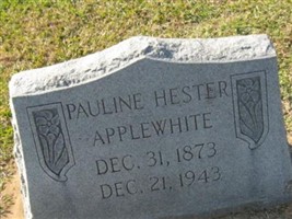 Pauline Hester Applewhite Pauline Hester Applewhite