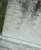 Paulinia Falkner Elkins