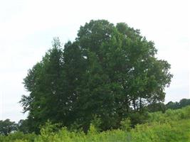 Peal and Bailey Land Cemetery