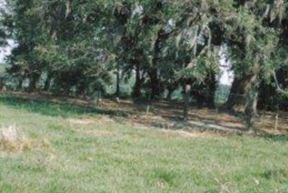 Pearce Family Cemetery