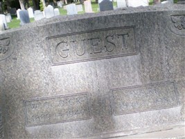 Pearl Guest