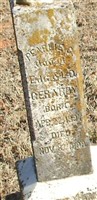 Pearlie D Gerardy