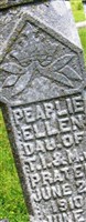 Pearlie Ellen Prater